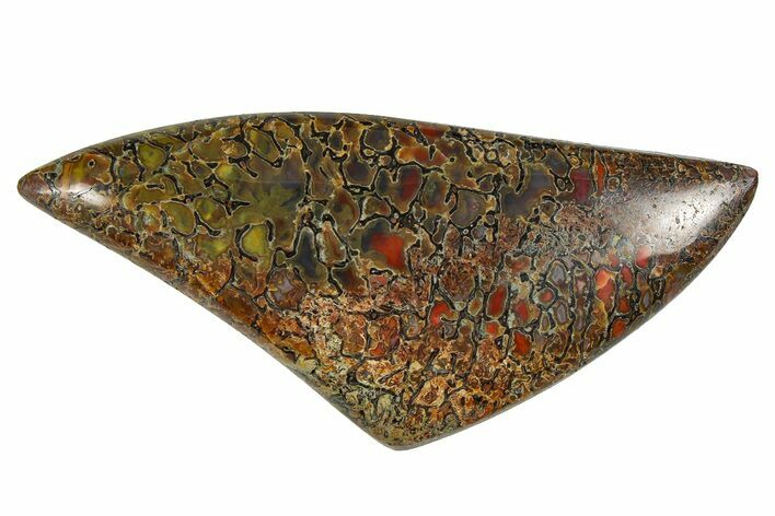 Polished Dinosaur Bone (Gembone) Cabochon - Colorado #370775